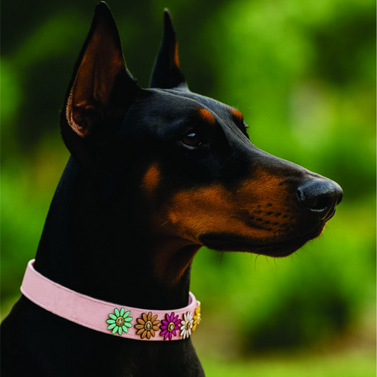 Collar Canino de Flores Hana