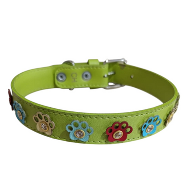 Collar Canino  de Huellitas Stopy