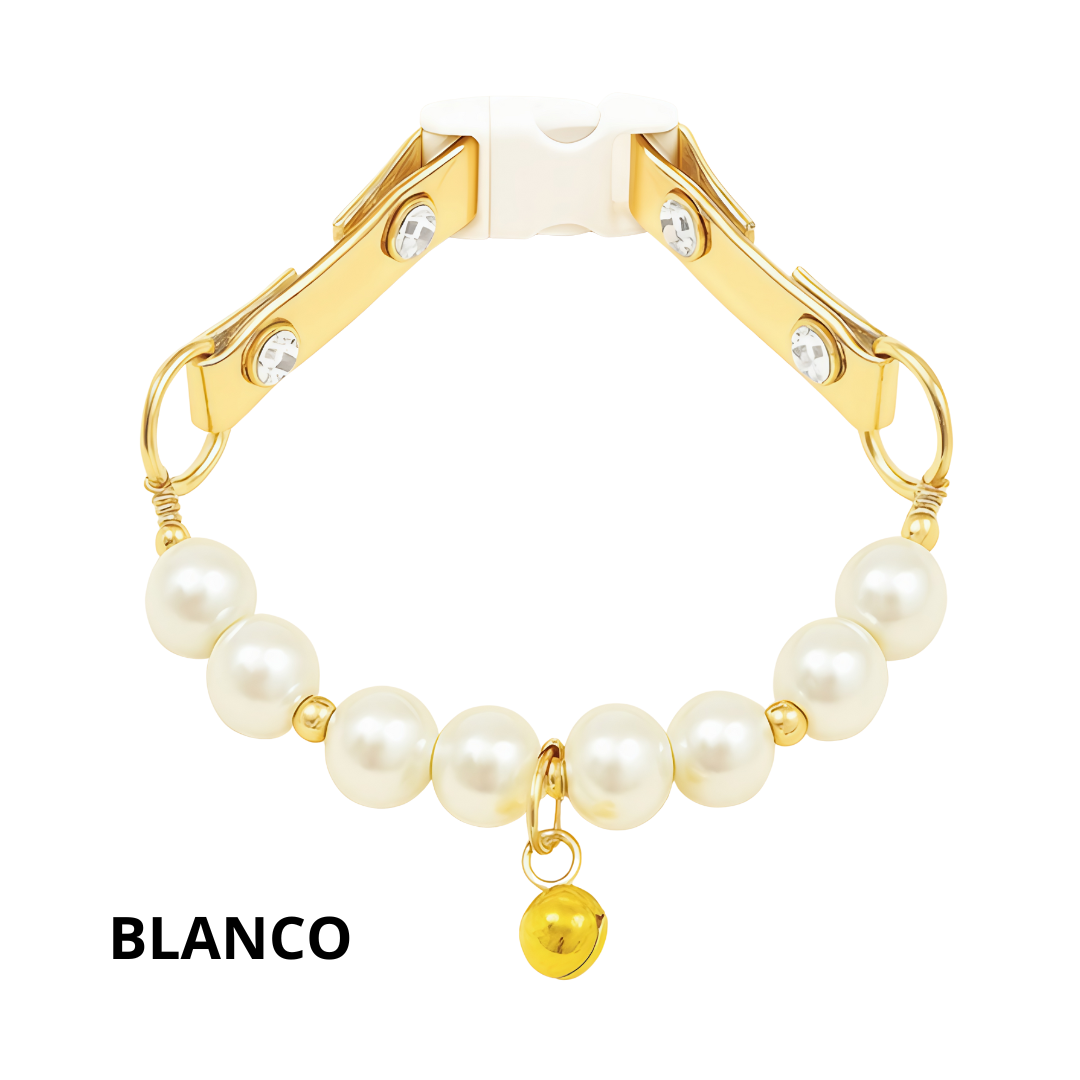Collar de Joyería Canina Con Chapa de Oro Isis
