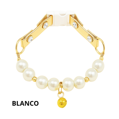 Collar de Joyería Canina Con Chapa de Oro Isis