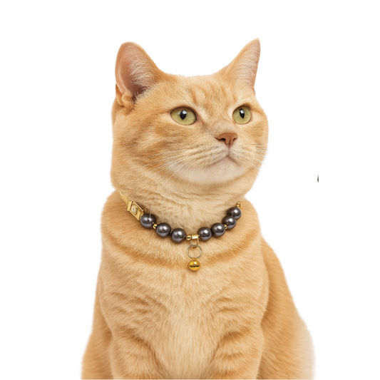 Collar de Joyeria Felina Con Chapa de Oro Isis